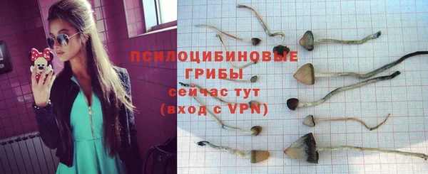 гидропоника Абдулино